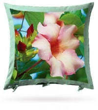 Cushion 2