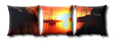 Cushion Scene 3