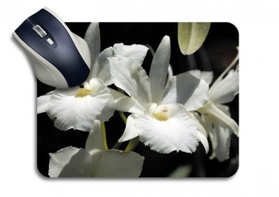 Mouse Mat 4